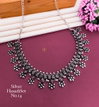 2 Navaratri Special Oxodize Silver Hasadi Set Wholesale Price In Surat
